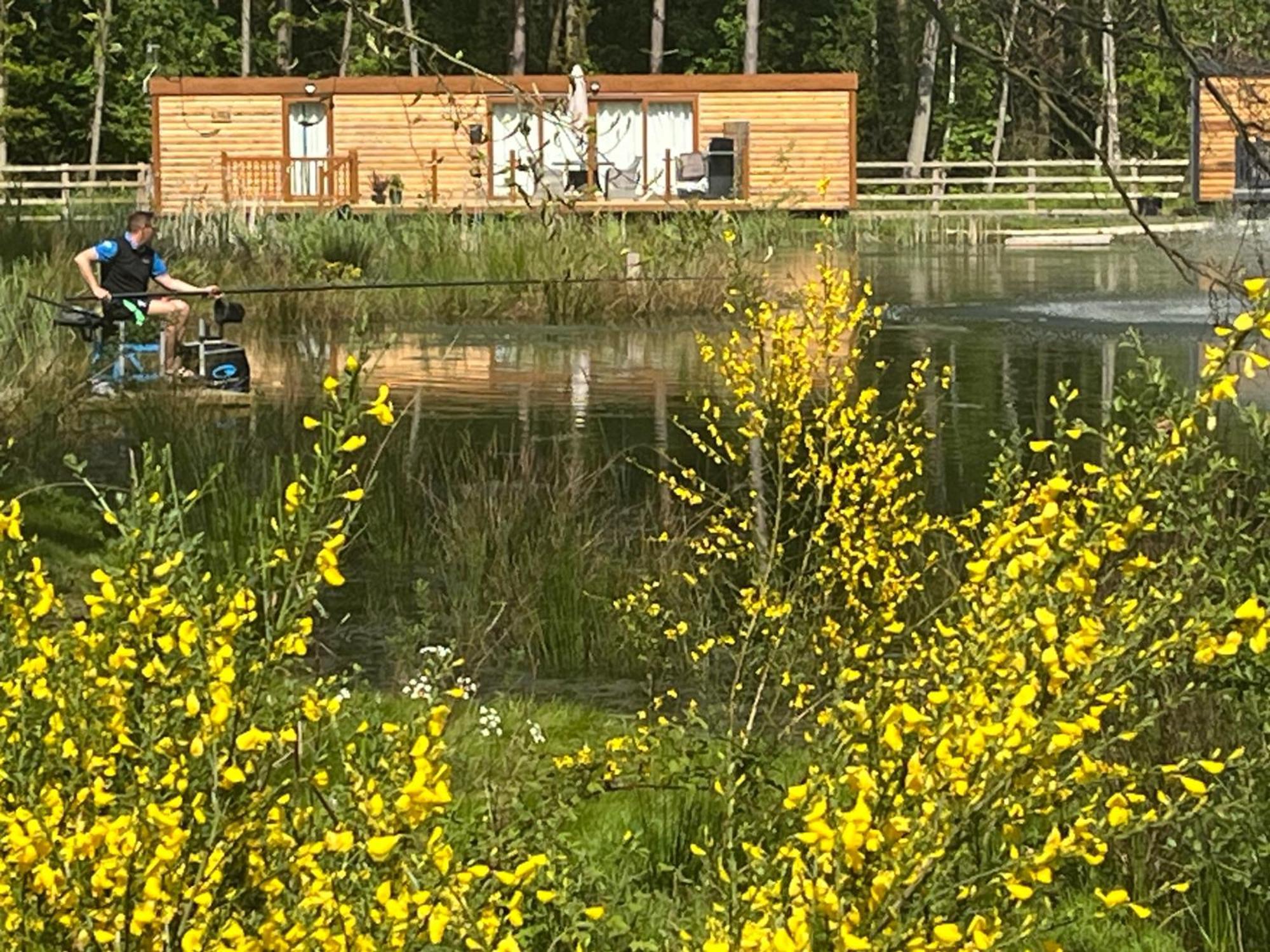 Oak Boutique Lodge Includes Hot Tub Air Con & Dog York Bagian luar foto